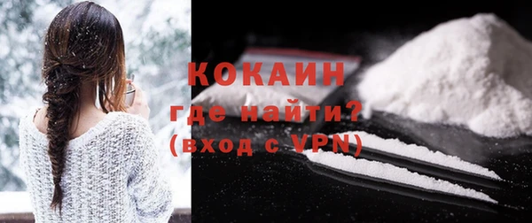 гидра Кодинск