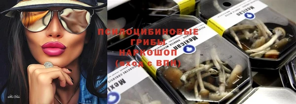 прущие грибы Козловка