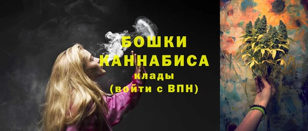 гидра Краснослободск