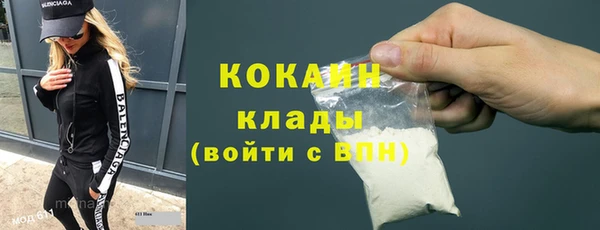 гидра Краснослободск