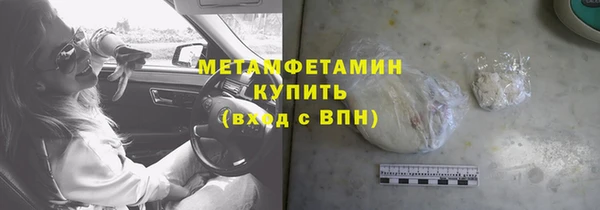 прущие грибы Козловка