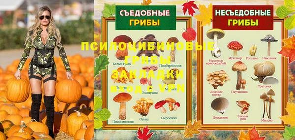 МДПВ Валдай