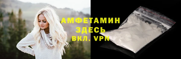 гидра Кодинск