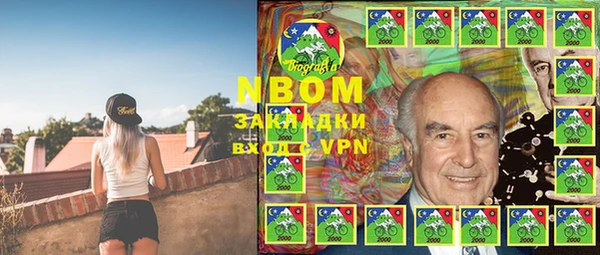 прущие грибы Козловка