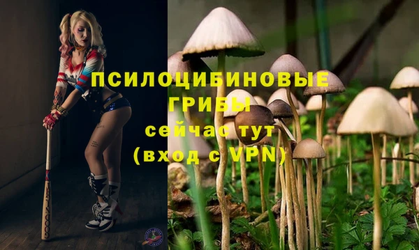 jwh Козельск