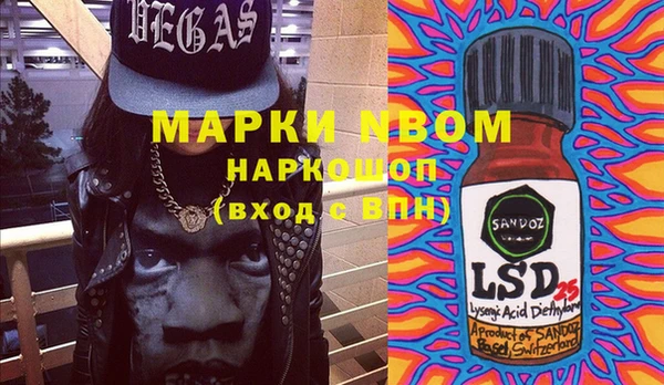 прущие грибы Козловка