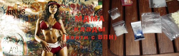 гидра Кодинск