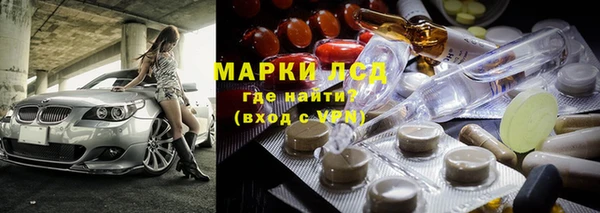 гидра Кодинск