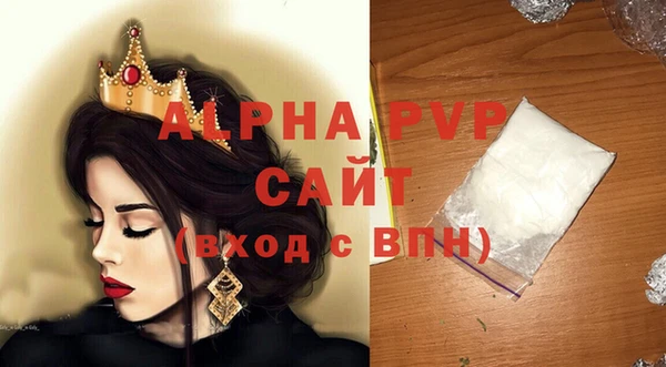 гидра Кодинск