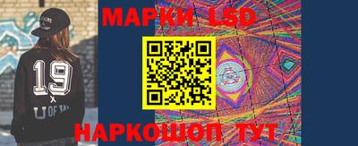 гидропоника Кингисепп
