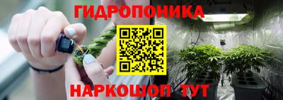 гидропоника Кингисепп