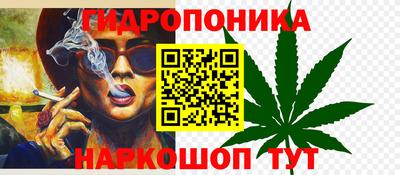 гидропоника Кингисепп