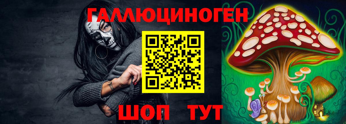 Псилоцибиновые грибы мицелий Кстово